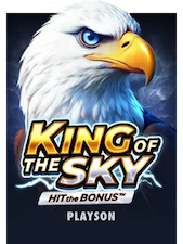 Play King of the Sky Hit the Bonus slot on McLuck social casino.
